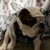 jillredmond934 jillredmond934